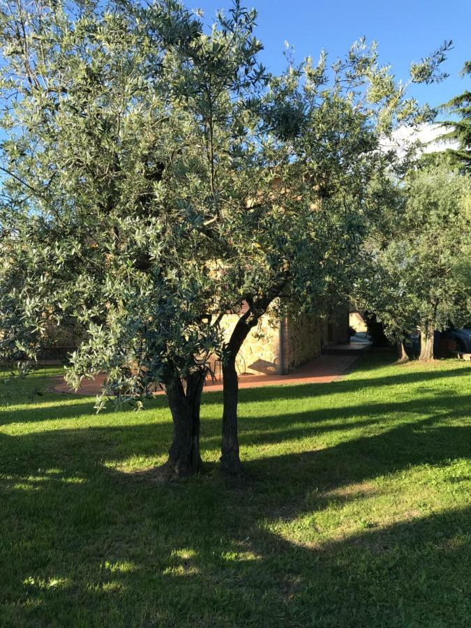 La Casina Rosella Leilighet Montaione Eksteriør bilde